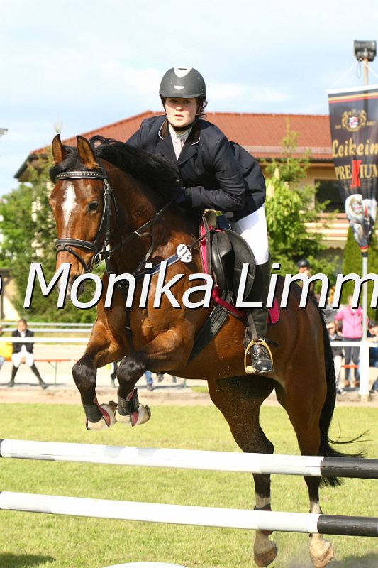 204M1664_Donnerose_Stil Axx.JPG